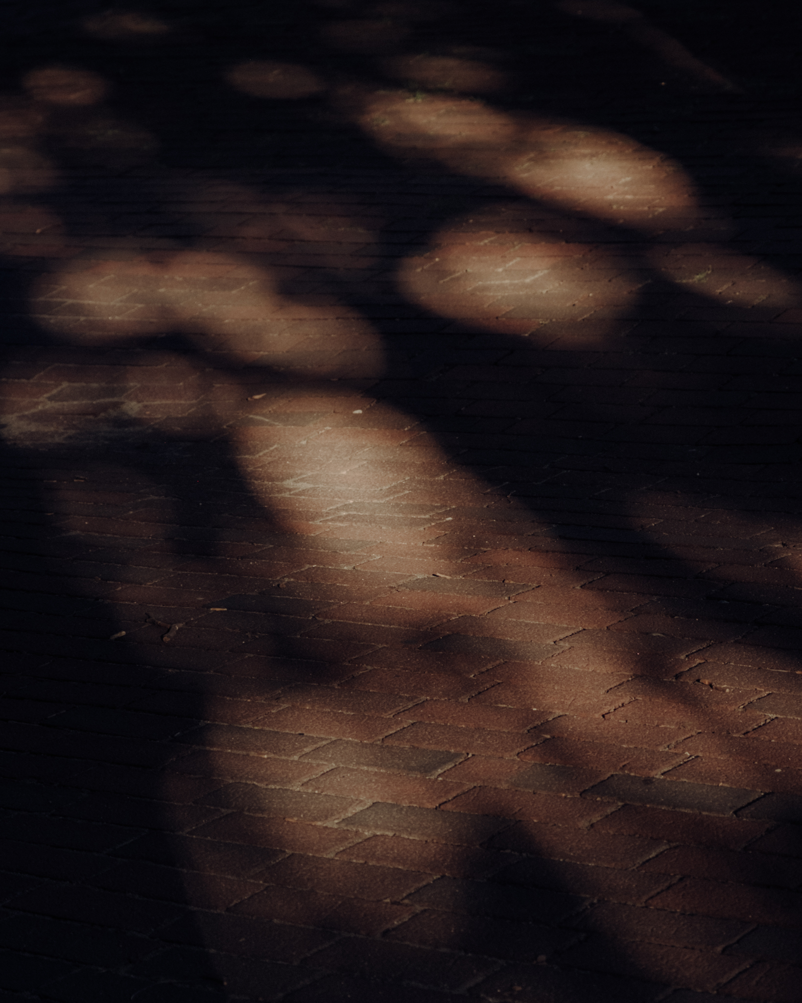 matshoff-acommonthing-web_04