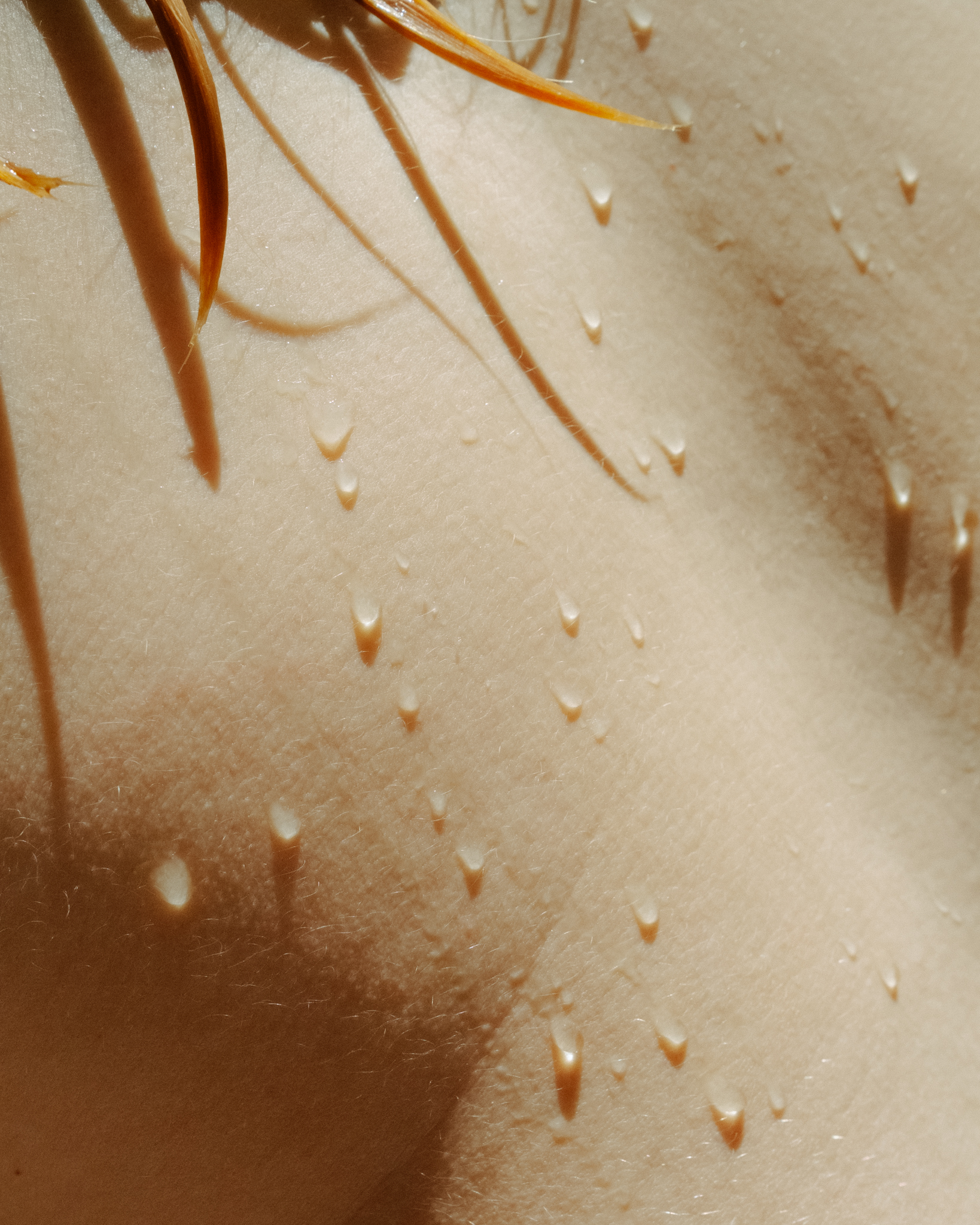 matshoff-website-portrait_22